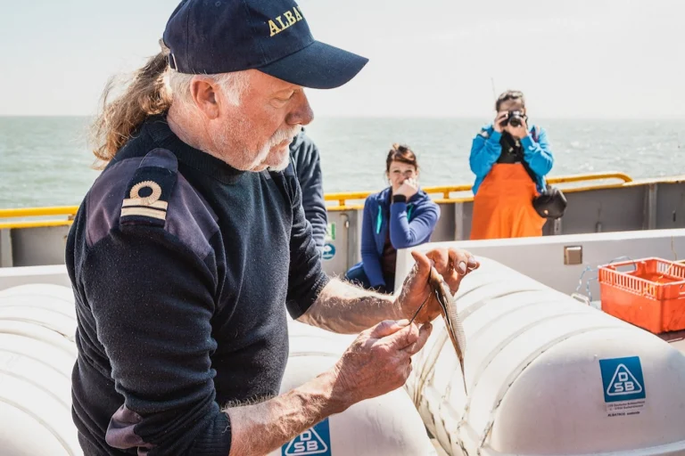Crew member in a captain's cap unhooking a small fish on deck while guests look on