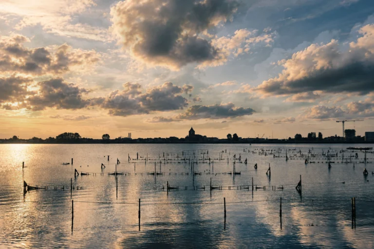 Sunset over the Spuikom in Ostend, with rows of oyster-farm poles standing in the water and the town's skyline on the horizon