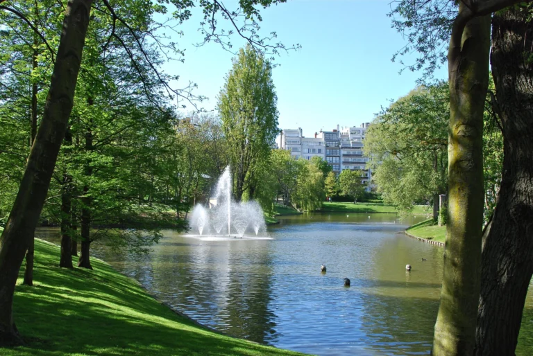 Fountain in the park pond seen between tall trees, with apartment blocks in the distance