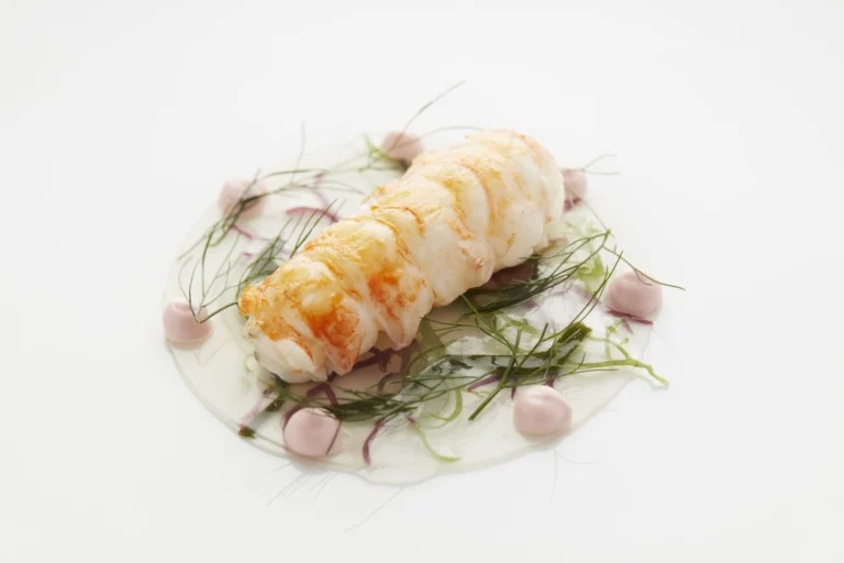 Langoustine tail on a white plate with herbs, dots of pink sauce and a clear broth