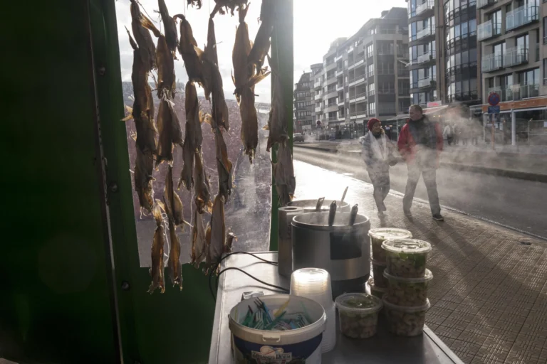 Dried fish hanging at a quayside stall beside steaming pots and tubs of shellfish, walkers passing by
