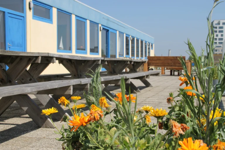 Clubhouse terrace with wooden picnic tables and orange marigolds in the foreground