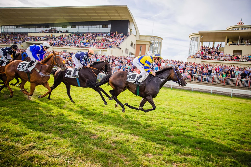 Jockeys on galloping racehorses thunder along the grass track in front of the packed Wellington grandstand