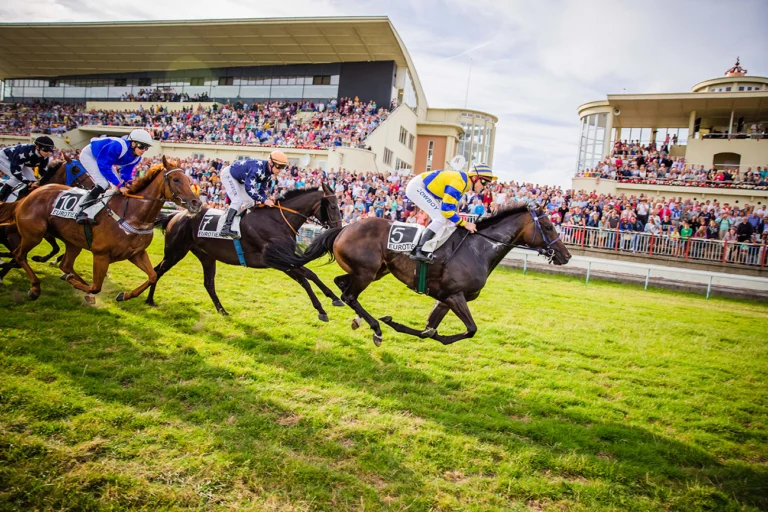 Jockeys on galloping racehorses thunder along the grass track in front of the packed Wellington grandstand