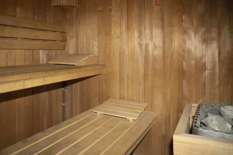 Empty wooden sauna with slatted benches, headrests and a stove filled with stones